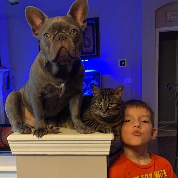 Meet your Posher, Keri - Picture 7 of 8